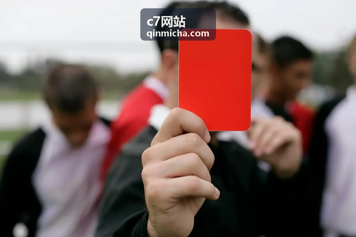 c7网站数据洞察仪表指标图