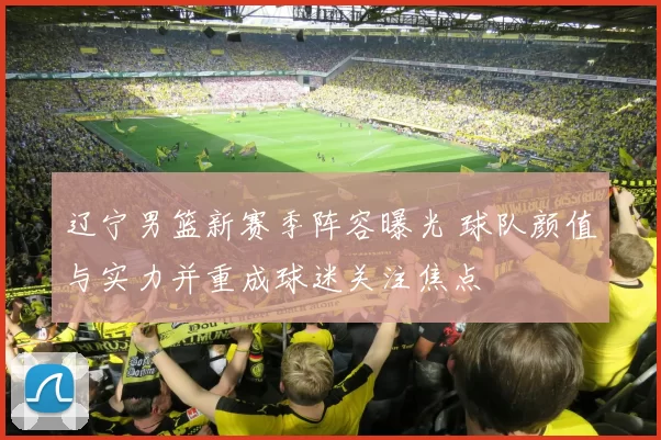 辽宁男篮新赛季阵容曝光 球队颜值与实力并重成球迷关注焦点